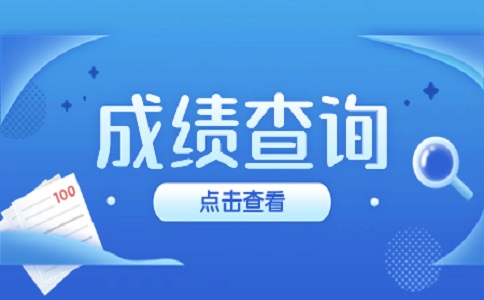 山东职教高考成绩查询指南